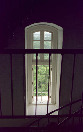 Window